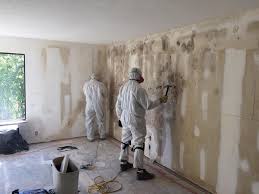 Mold Documentation for Insurance Claims in Albany, WI